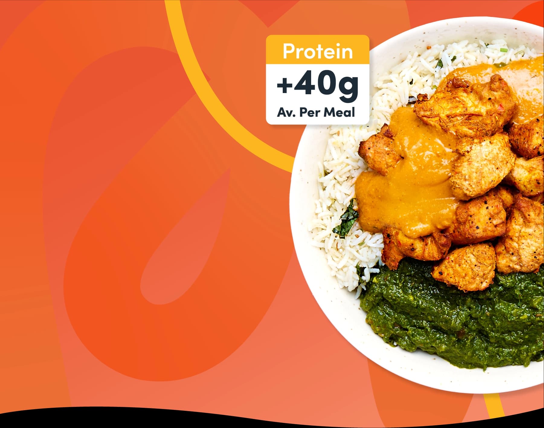Protein Graphic Hero