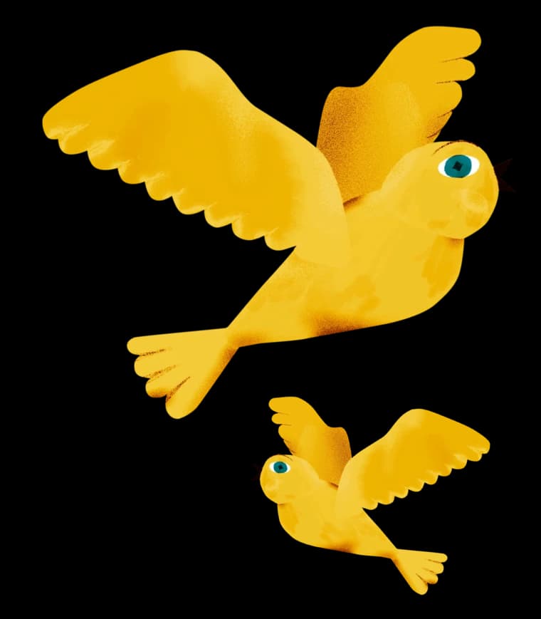 Solovey X Prep Kitchen Partnership