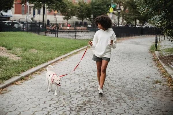Woman walking dog in park